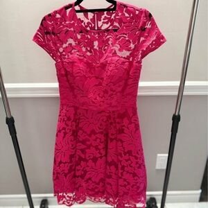 Ted Baker Caree Pink Fushia Lace Dress